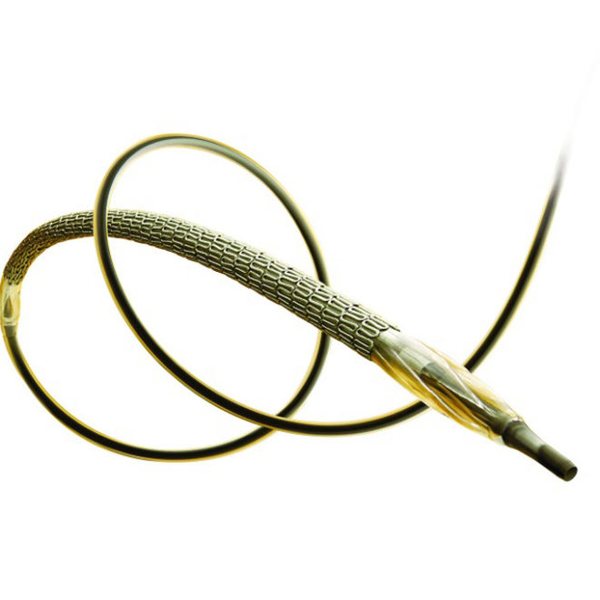 Medtronic-Resolute-Onyx-Coronary-Stent-System-mobax.med.com