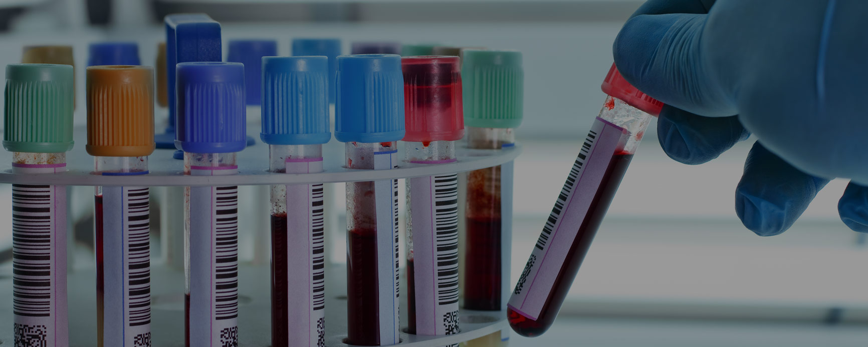 Medical Equipment & Consumables